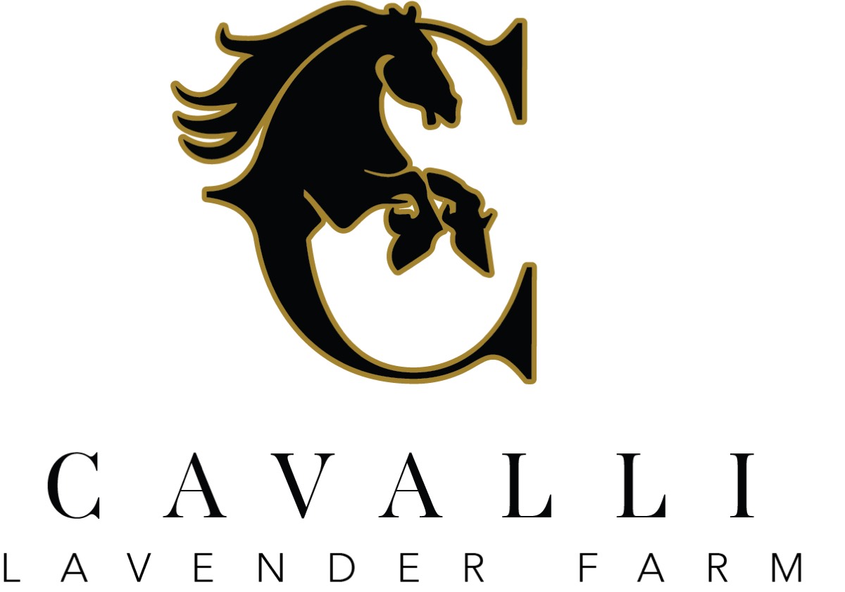Cavalli Lavender Farm lockup